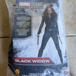 Women’s Black Widow Costume 