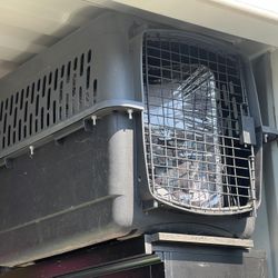 Large Pet Carrier