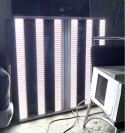 Grow lights I HAVE 55 PANELS ALL FOR $300  pick up today