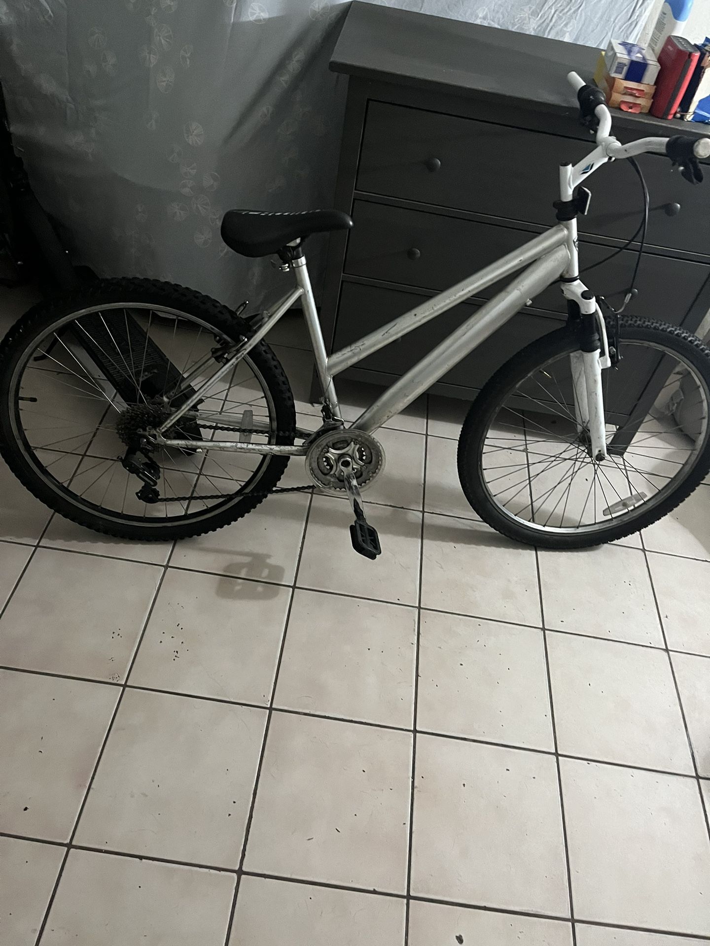 Silver Bike $20 Firm