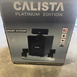 Smart Speaker System