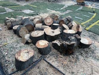 Free Oak Firewood