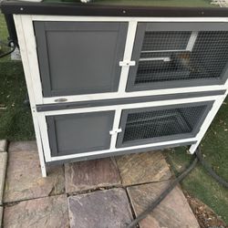 Rabbit Hitch Guinea Pig 