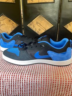 NIKE SB ALLEYOOP