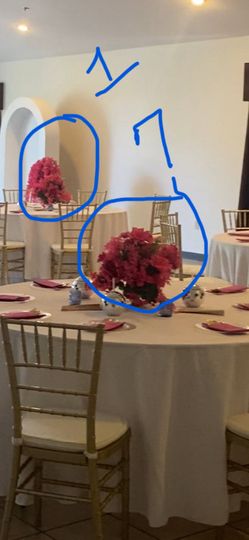 Party arrangement Fushia