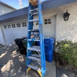 8ft Werner 250lb Ladder