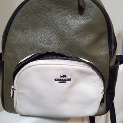 Greem/ Gray Coach Bag  With 7 Compartments Inside