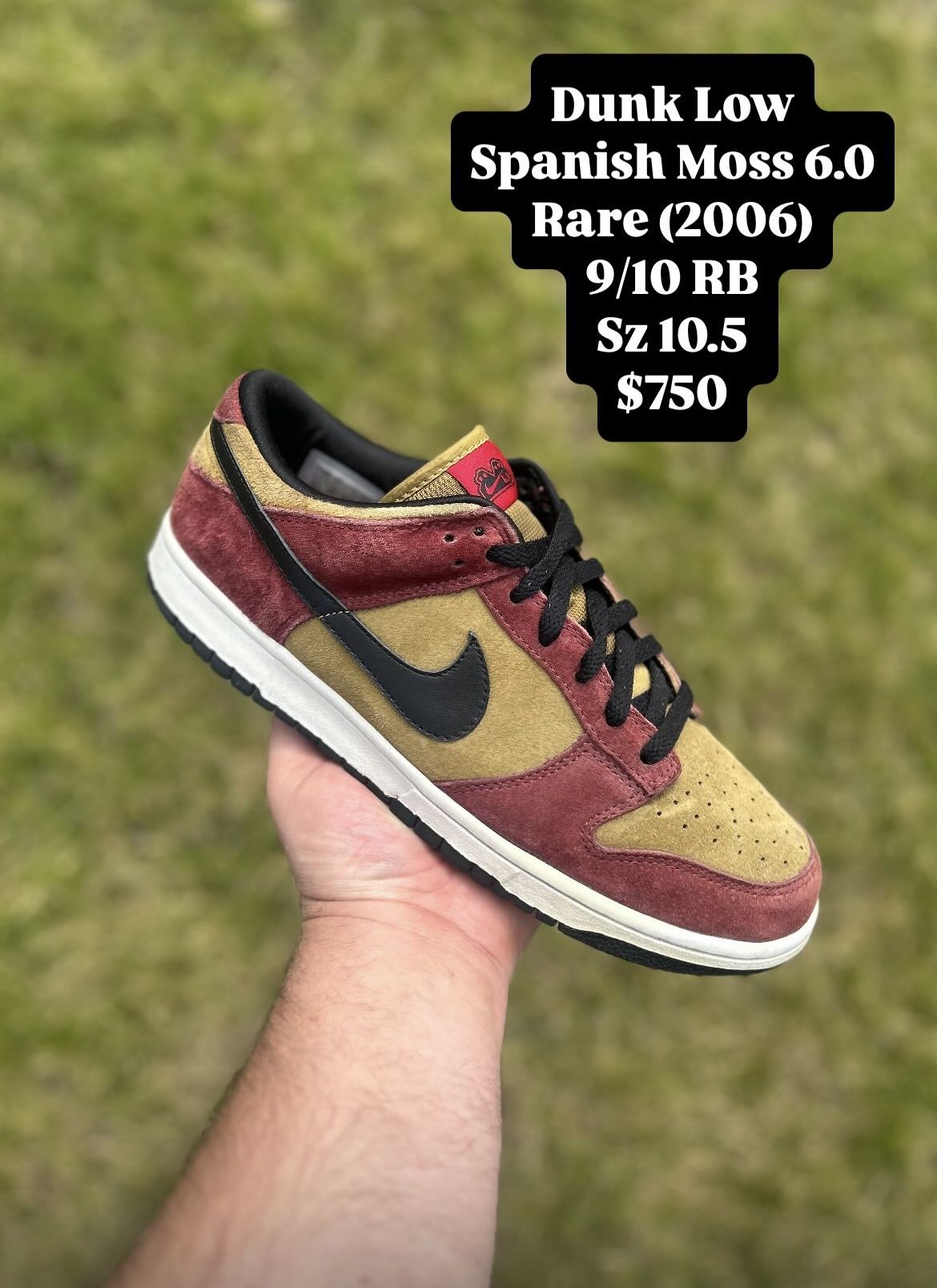 Nike Dunk Low Spanish Moss 6.0 9/10 RB Size 10.5 Rare