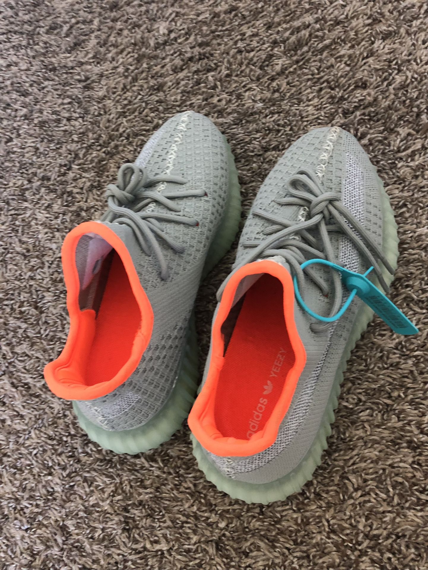 adidas gazelle silver green womens adidas Yeezy Boost 350 V2 Light | Yeezy main image 1