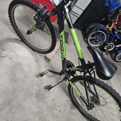 Adult Bike