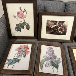 Framed Prints