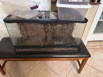 Terrarium