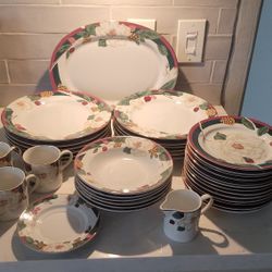 Tienshan Magnolia China 