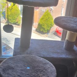 Kitty Condo