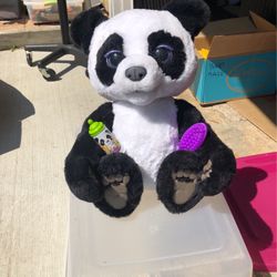 For Real Baby Panda