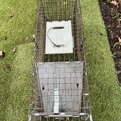 Animal Traps