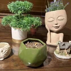 Cute Fake Plants All One Price