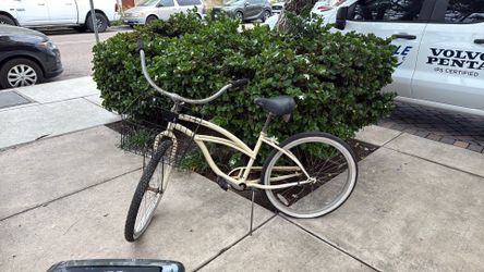 Beach Cruiser with Basket