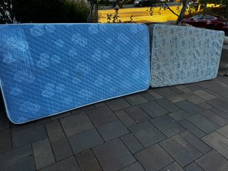 Two twin mattresses