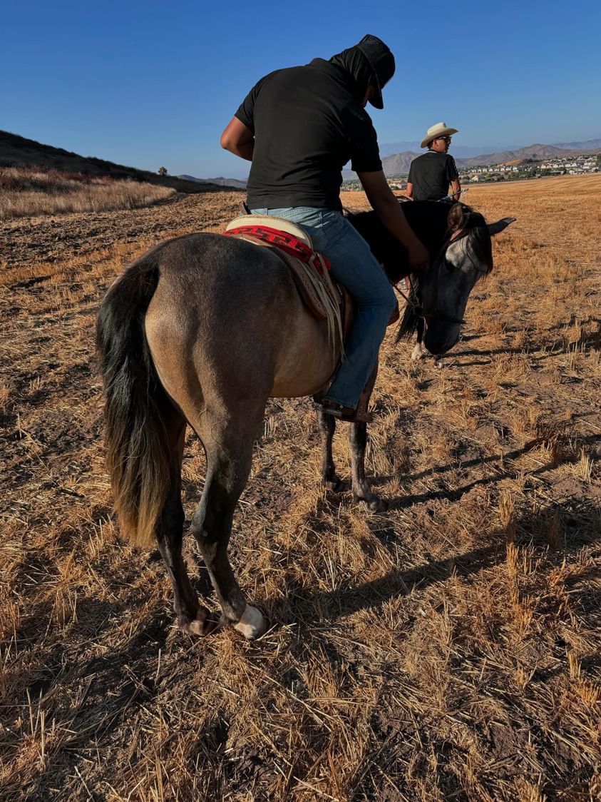 Mexican Saddle 