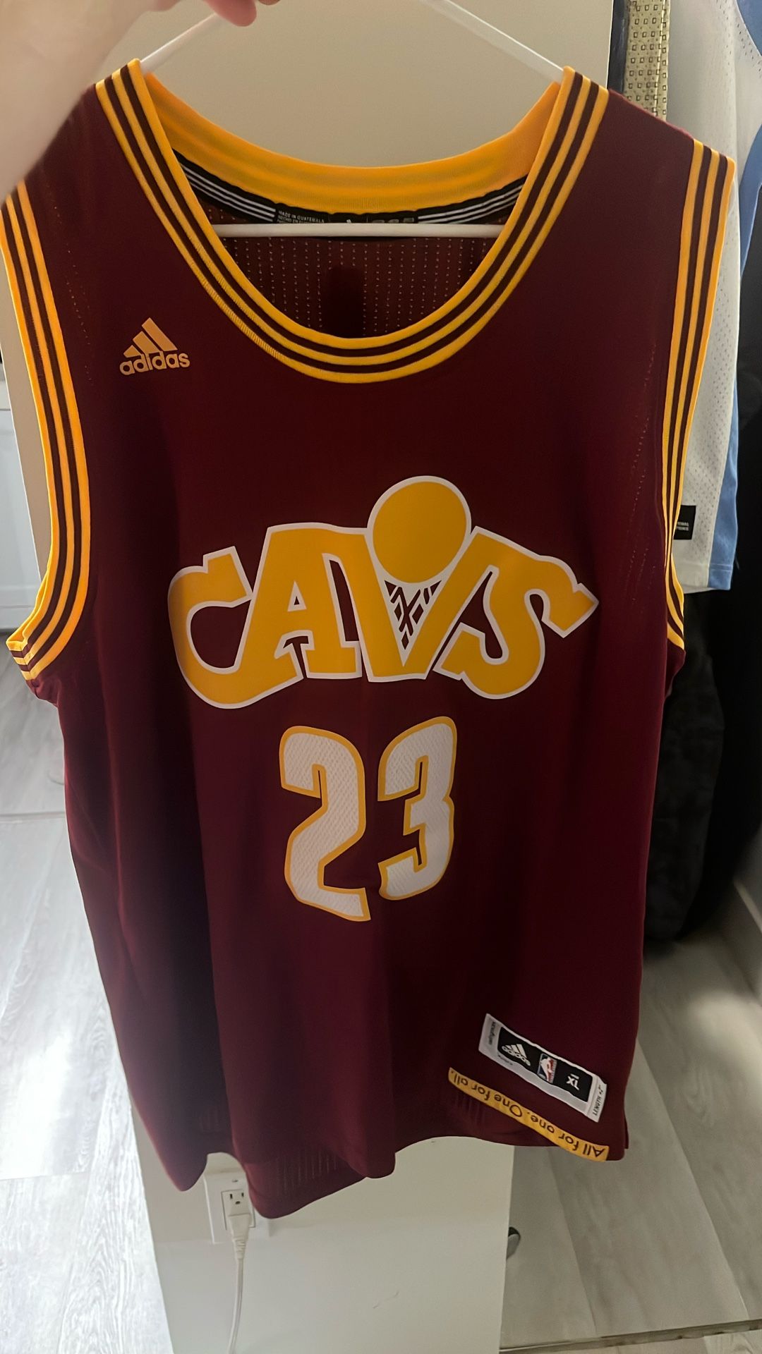 Cleveland Cavaliers LeBron James