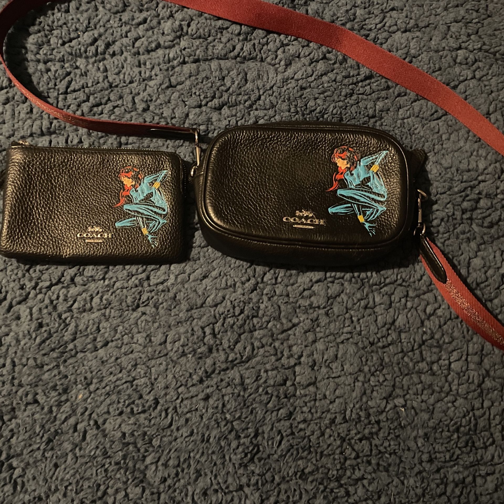 Small Coach Handbag With Wallet for Sale in Spartanburg SC OfferUp