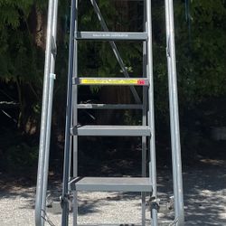 10 Step Rolling Ladder