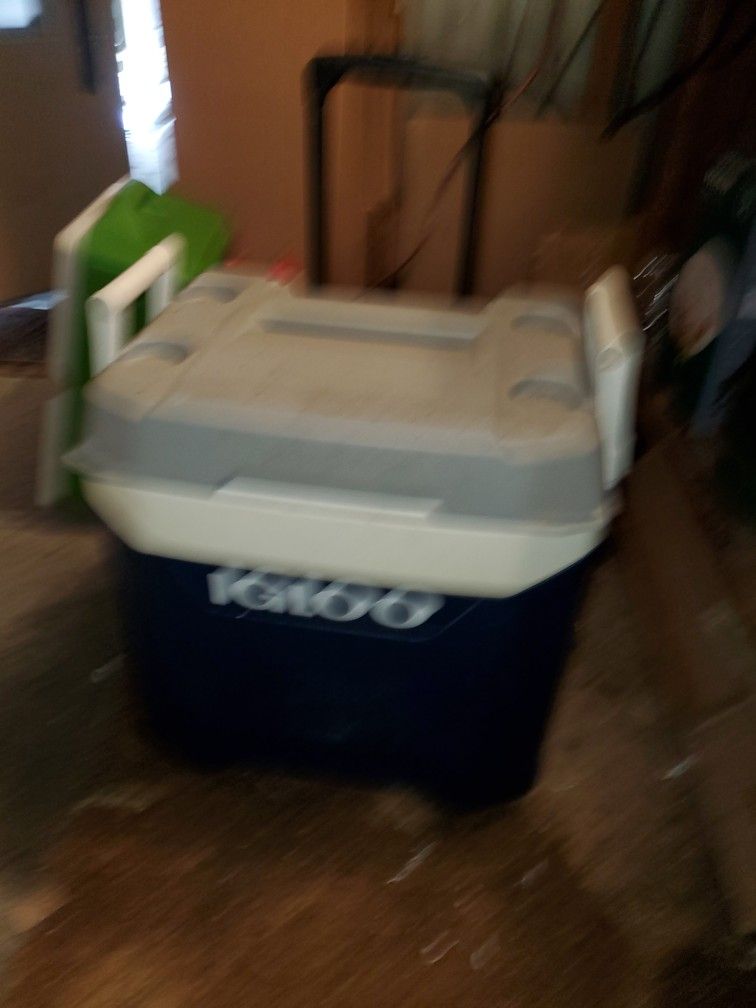Igloo & Coleman Coolers