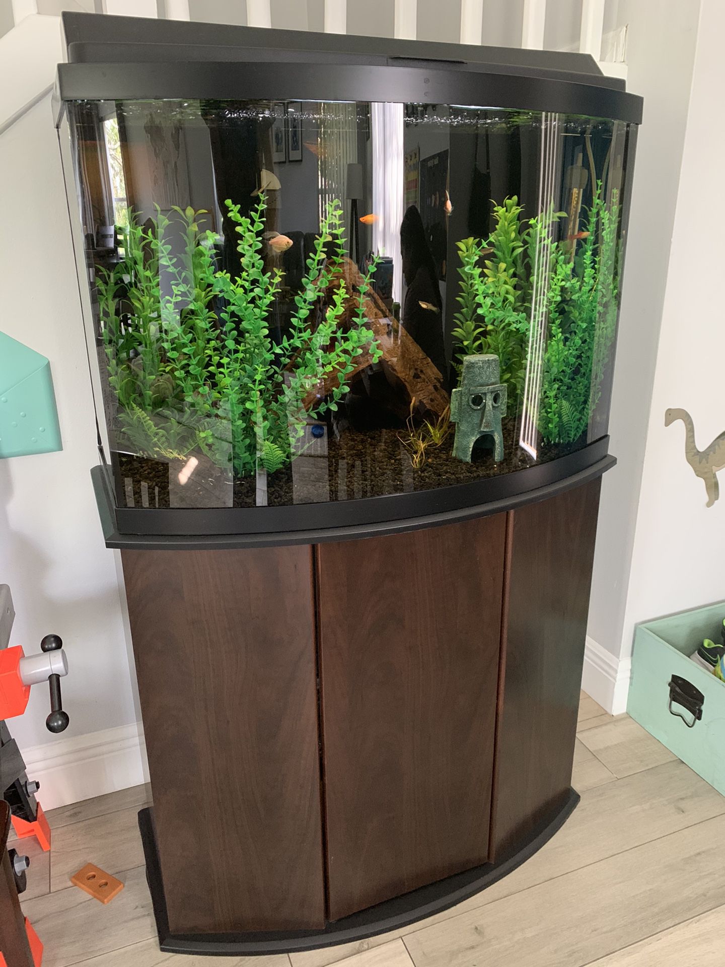 40 gallon Bow Fish Tank and Stand