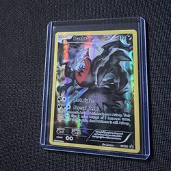 Pokemon Cards XY Promos Darkrai Full Art
