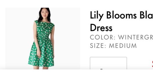 Lily Blooms Dress in Wintergreen, Medium