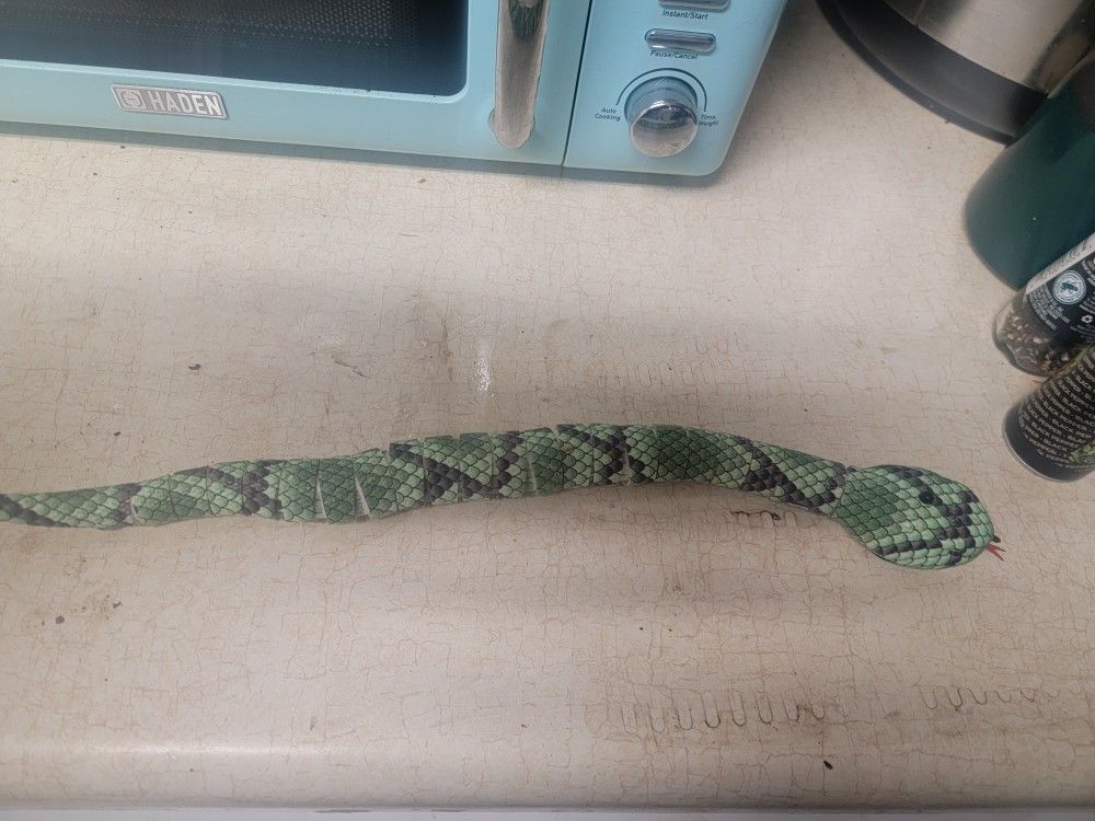 Toy Snake
