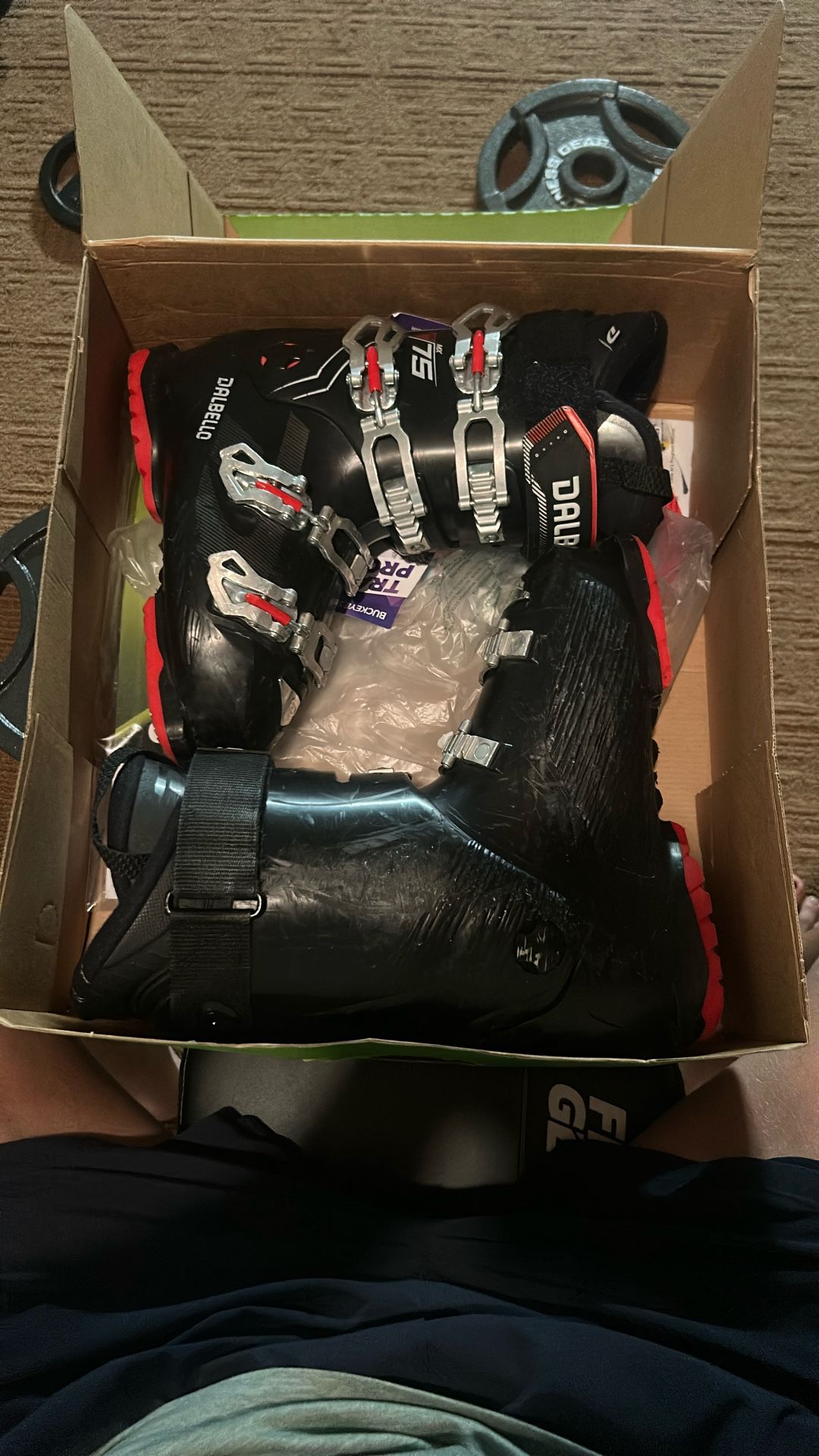 Dalbello Ski boots