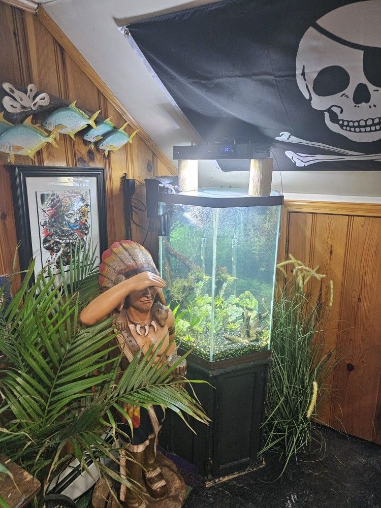 55 Gallon Aquarium
