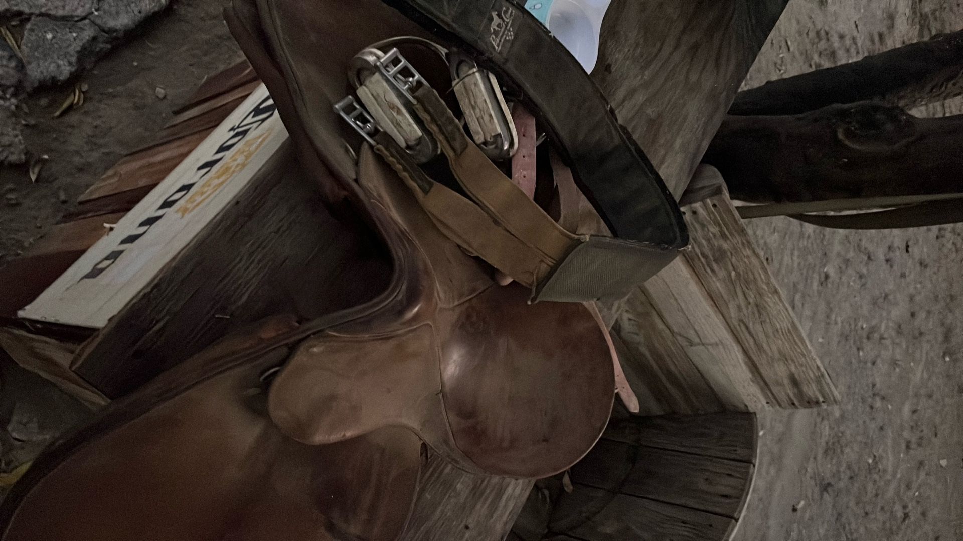 Horse Saddle
