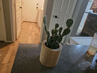 Decor Faux Cacti