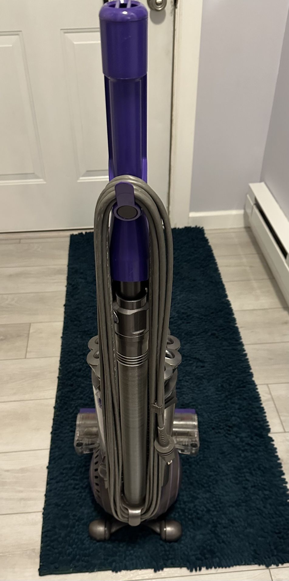 Dyson Animal Ball 2