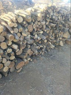 Orange tree Firewood 