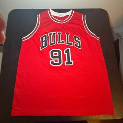 Dennis Rodman Chicago Bulls Red Jersey #91 autograph PSA