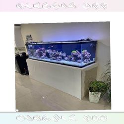 Giant Aquarium Tank - Spacious & Magnificent total gas