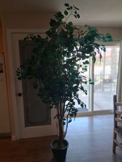 8 ft Artifical Tree