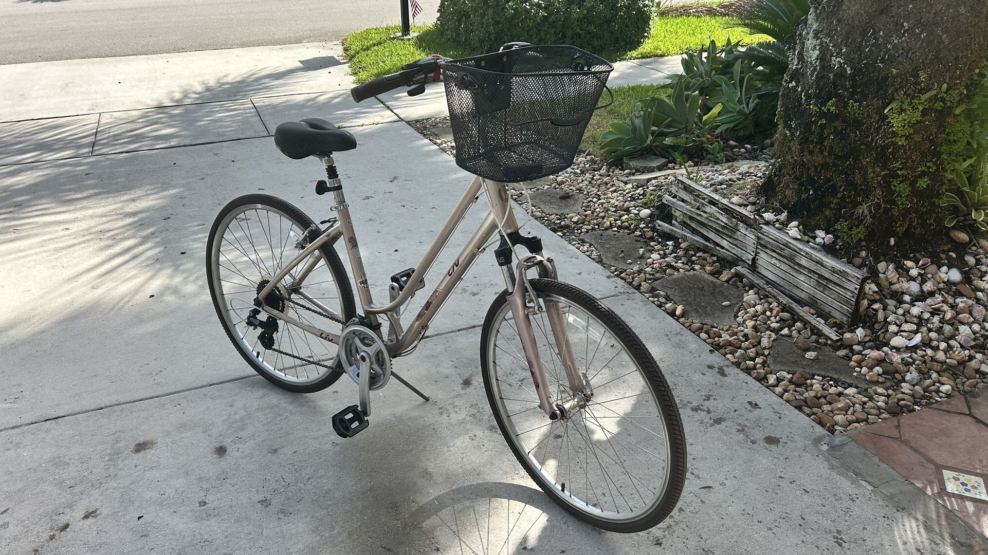 Giant LIV Low Step through Bike large 700c Hybrid Bicycle 24 Speed Basket