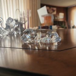 Crystal Dog