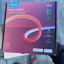 Govee RGBIC Lights