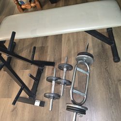 Weight Bench And Weights