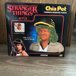 Stranger Things Dustin Chia Pet 