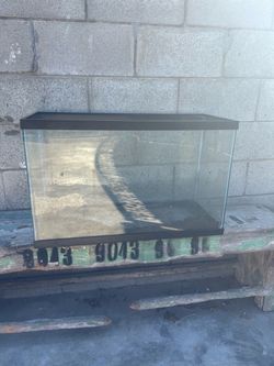 40 gallon fish tank
