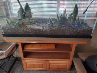 Fish Tank/Terrarium