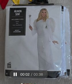 Halloween Sent Angel Costume Adult Standard