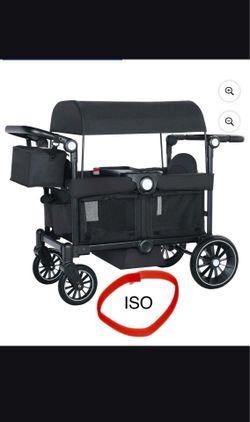 In Search For A Stroller Wagon (Please Read Description)